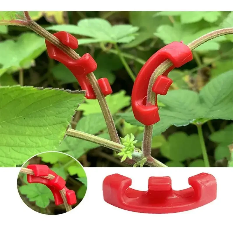 10-100 Stück 90-Grad-Pflanzenb – Plant Parent Tools Bewertung und Preis