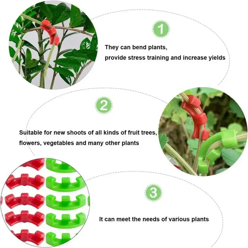 10-100 Stück 90-Grad-Pflanzenb – Plant Parent Tools Bewertung und Preis