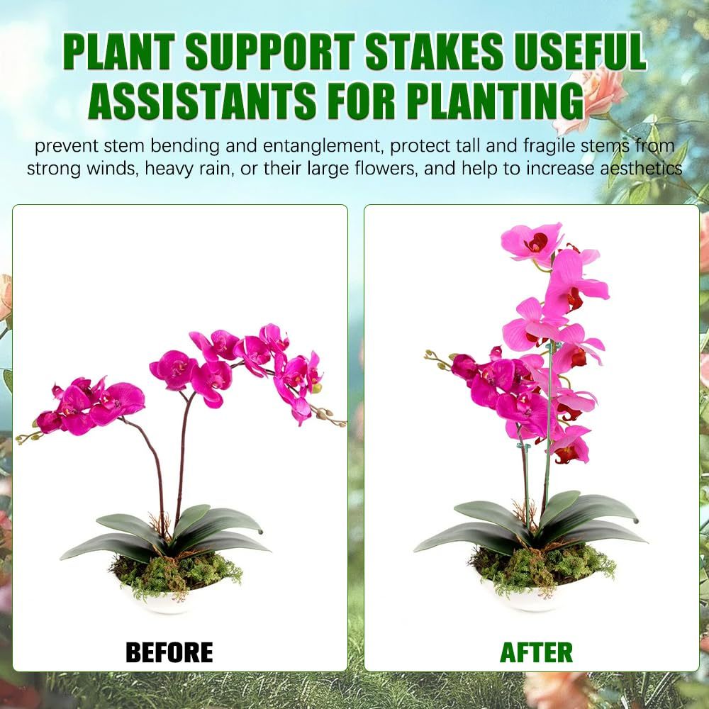 5/10PCS Anlage Unterstützt Ste – Plant Parent Tools Bewertung und Preis