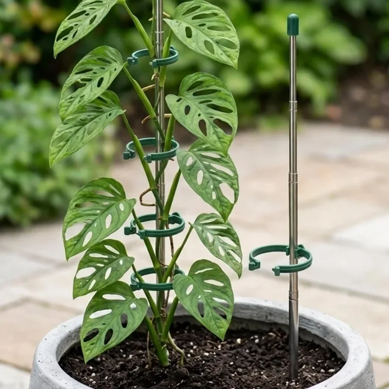 5/1 Stück Einziehbarer Pflanze – Plant Parent Tools Bewertung und Preis