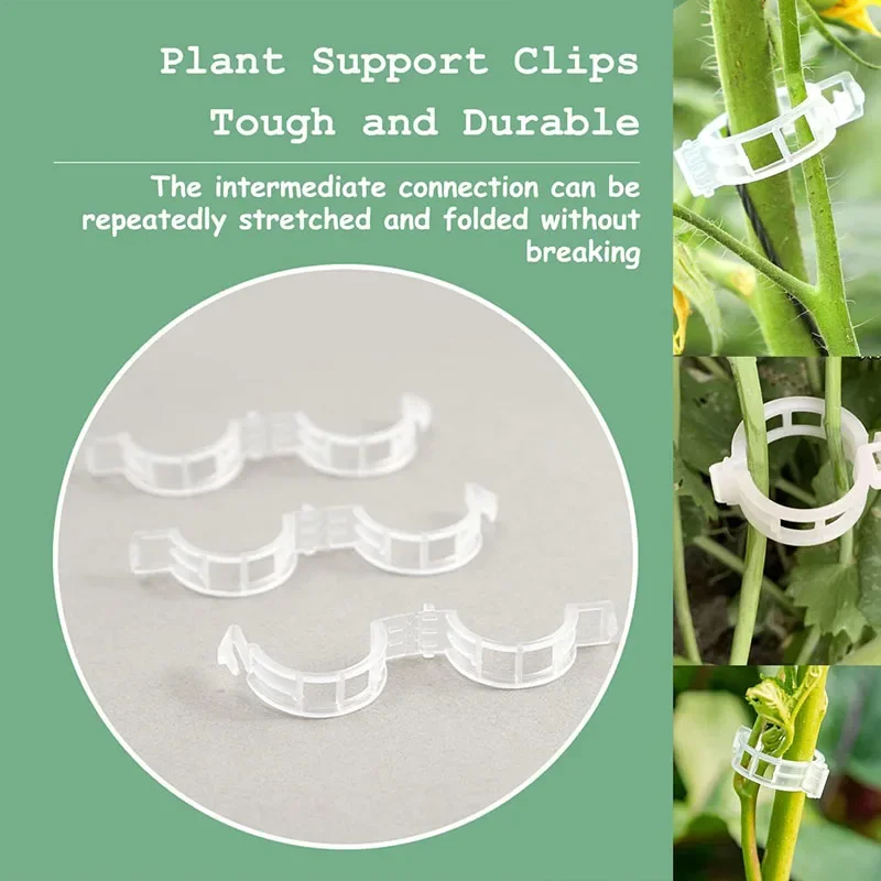 100PCS Anlage Befestigungs Cli – Plant Parent Tools Bewertung und Preis
