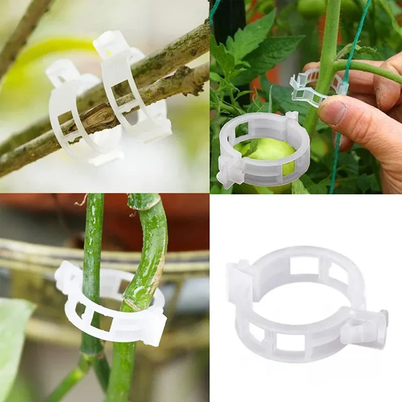 100PCS Anlage Befestigungs Cli – Plant Parent Tools Bewertung und Preis