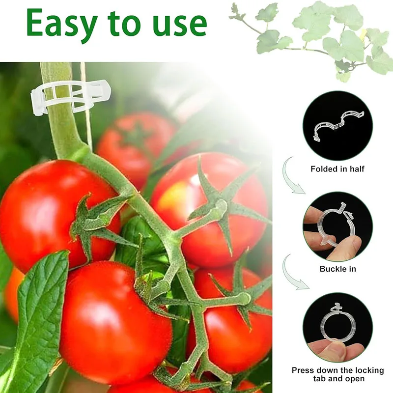 100PCS Anlage Befestigungs Cli – Plant Parent Tools Bewertung und Preis