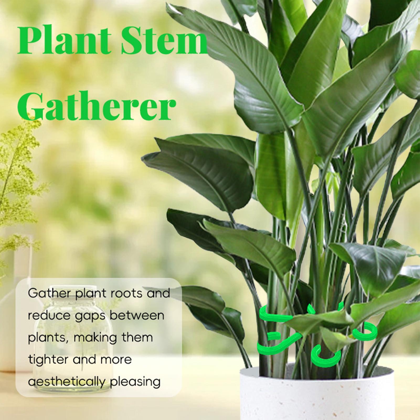 4-teiliges Pflanzenbefestigung – Plant Parent Tools Bewertung und Preis
