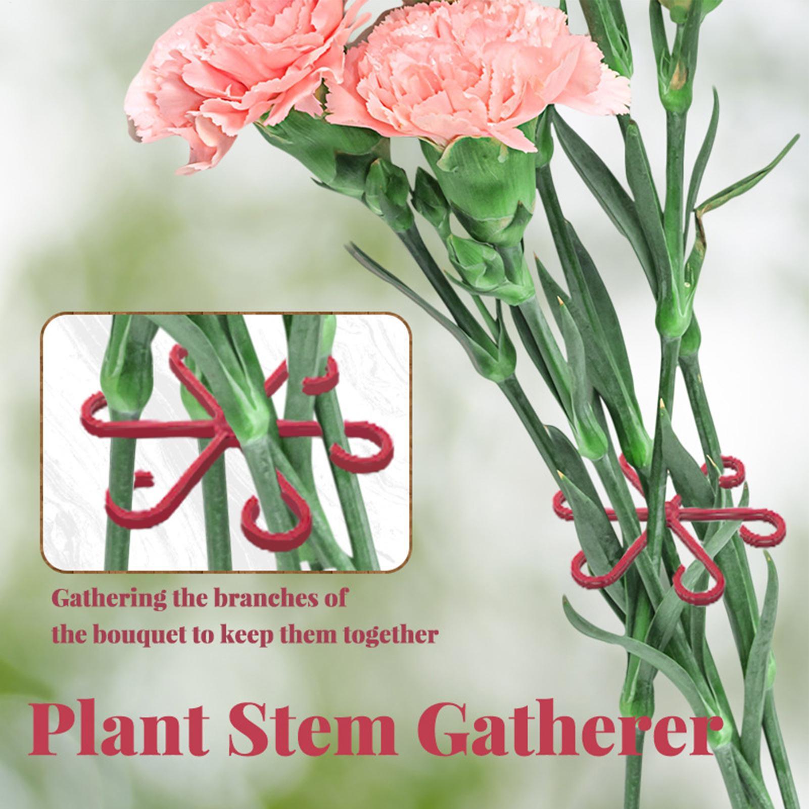 4-teiliges Pflanzenbefestigung – Plant Parent Tools Bewertung und Preis