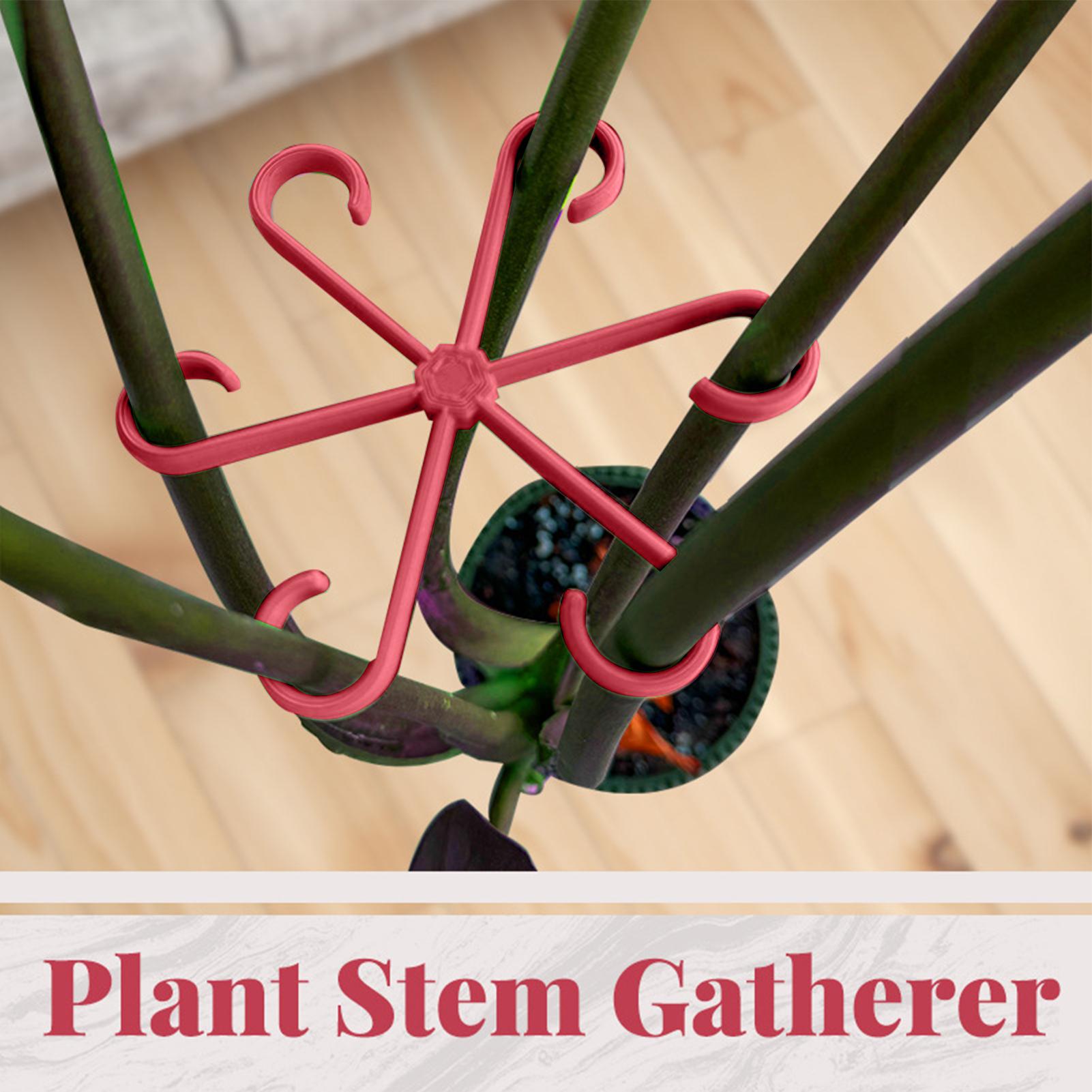4-teiliges Pflanzenbefestigung – Plant Parent Tools Bewertung und Preis