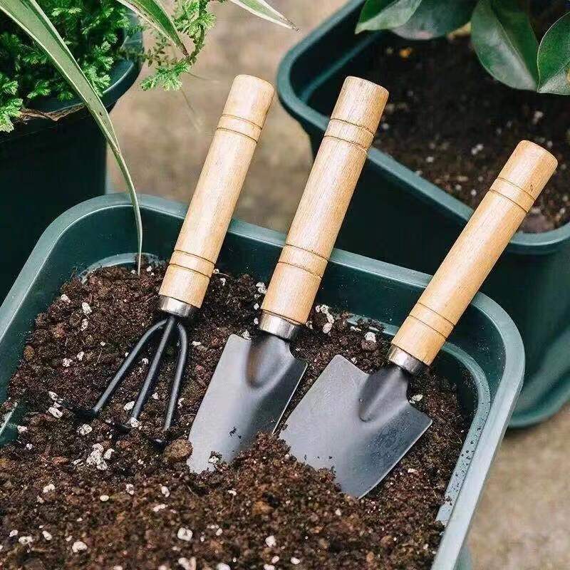 3PC/1Set Mini Gartengeräte Set – Plant Parent Tools Bewertung und Preis