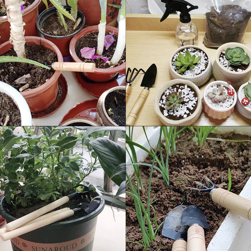 3PC/1Set Mini Gartengeräte Set – Plant Parent Tools Bewertung und Preis