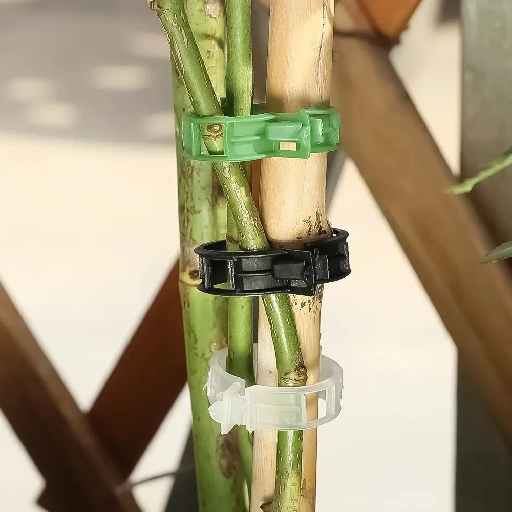 100/10 Stück Pflanzenstützclip – Plant Parent Tools Bewertung und Preis