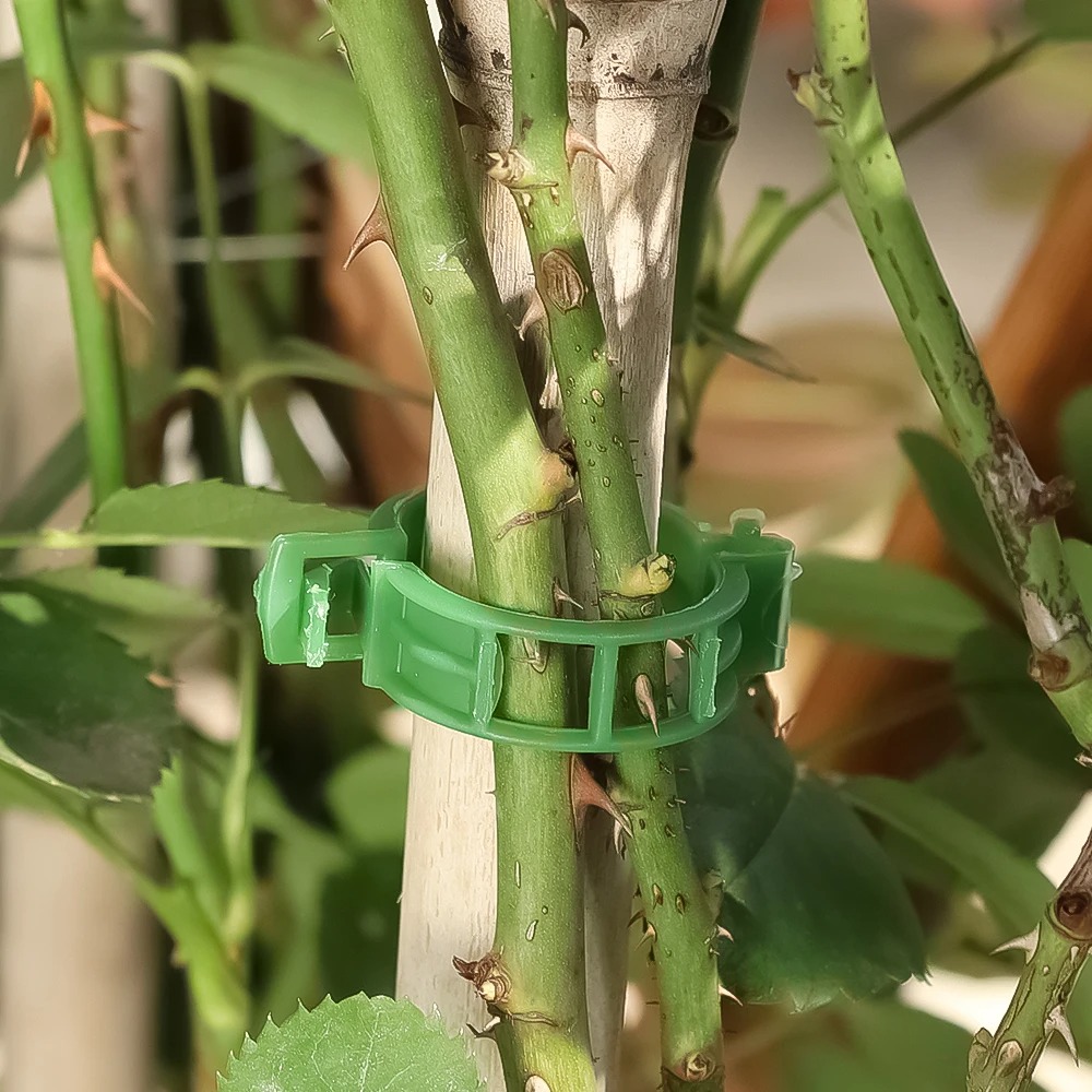 100/10 Stück Pflanzenstützclip – Plant Parent Tools Bewertung und Preis