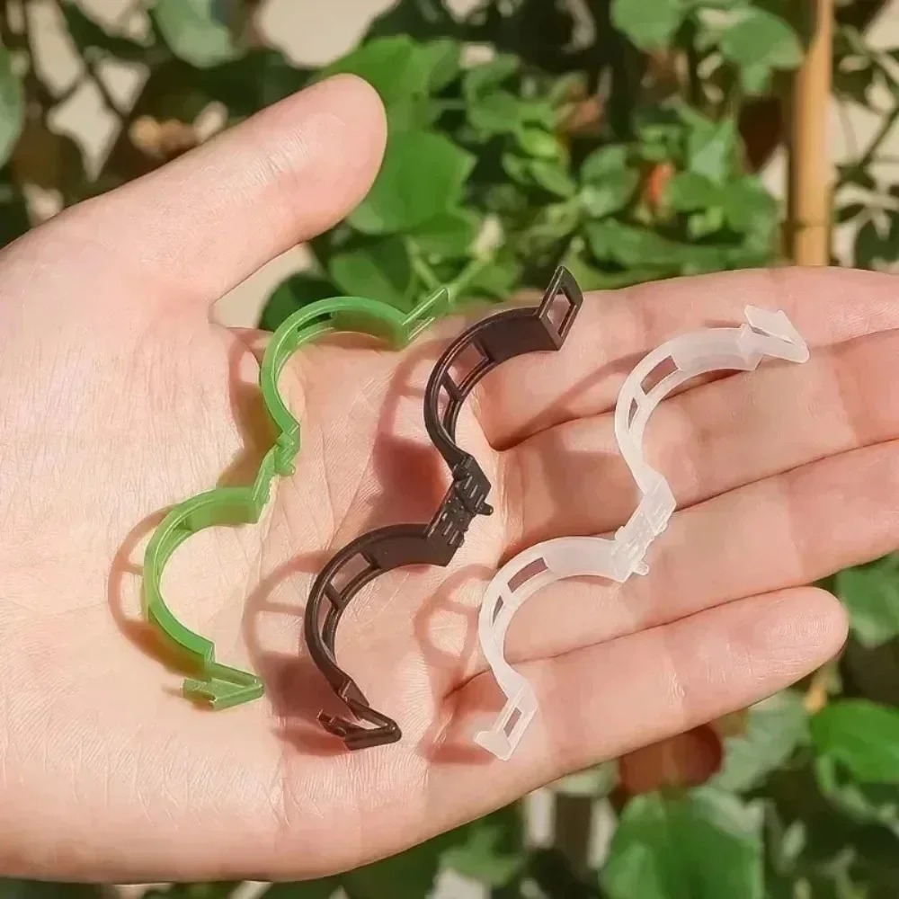 100/10 Stück Pflanzenstützclip – Plant Parent Tools Bewertung und Preis