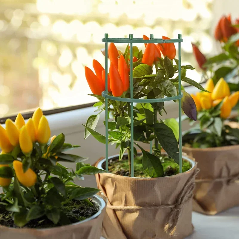 Kunststoff-Pflanzenstützpfahls – Plant Parent Tools Bewertung und Preis