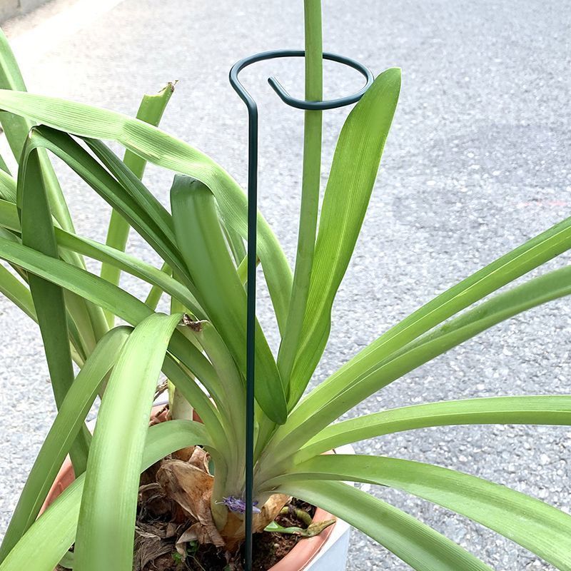 1-10 stücke Metall Einzigen St – Plant Parent Tools Bewertung und Preis