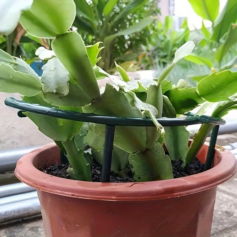 30-1 Stück Kunststoff-Pflanzen – Plant Parent Tools Bewertung und Preis