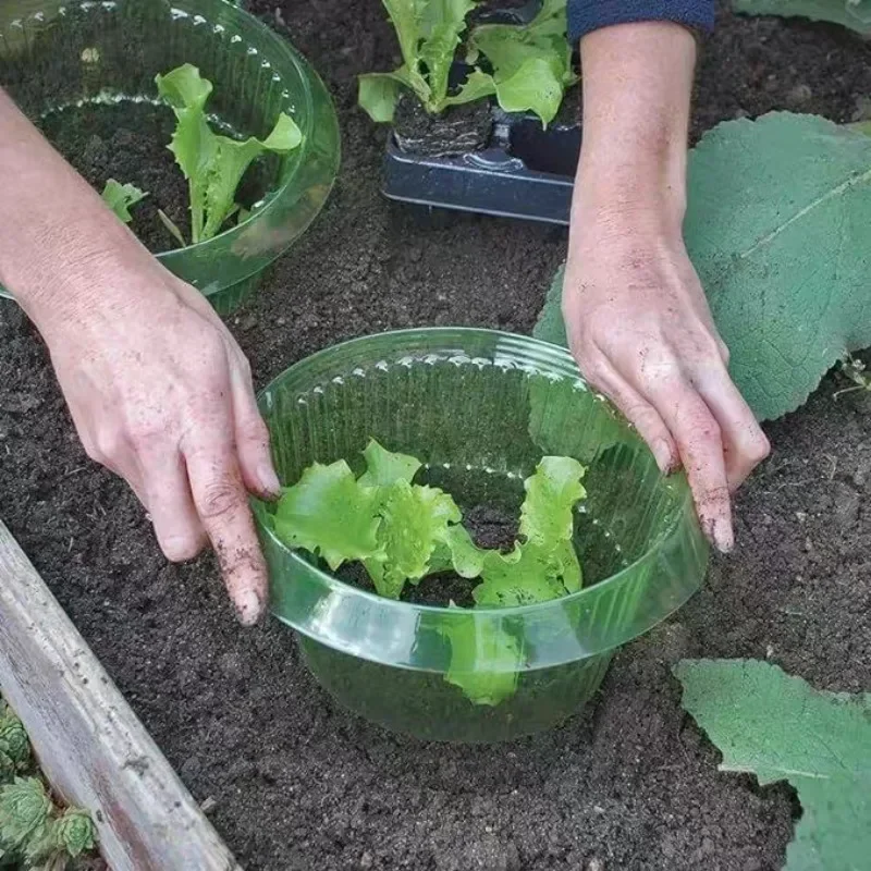 Pflanzen Slug Schutz Ringe Gem – Plant Parent Tools Bewertung und Preis