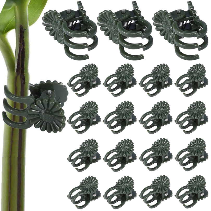 20/50/100pcs Pflanzen clips Re – Plant Parent Tools Bewertung und Preis