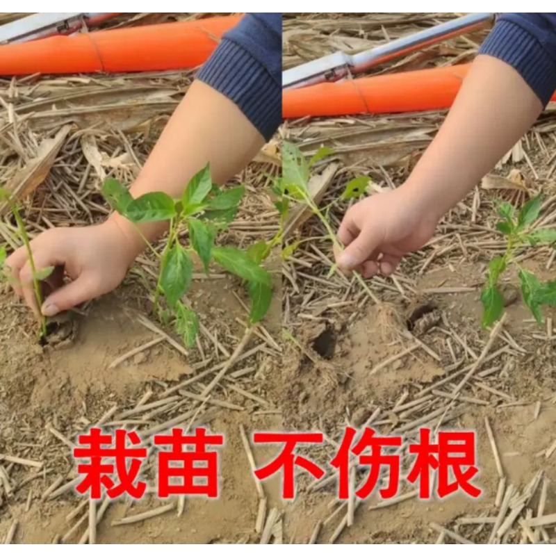 Landwirtschaftlicher Setzlings – Plant Parent Tools Bewertung und Preis