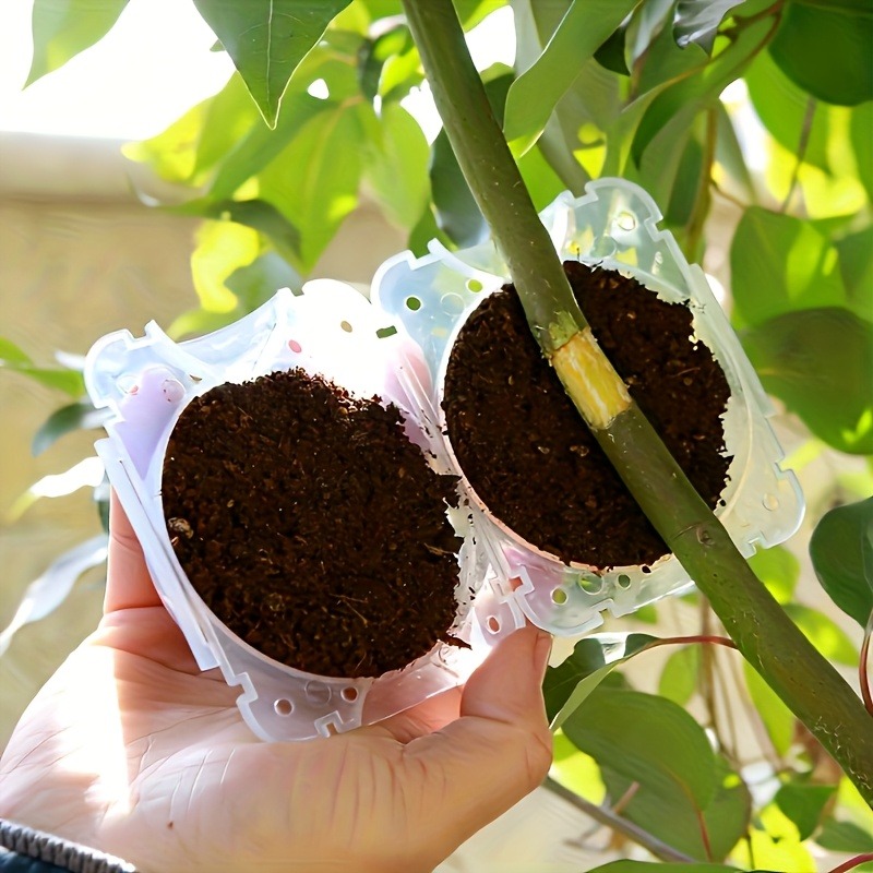 10-teiliges Hochdruck-Pflanzen – Plant Parent Tools Bewertung und Preis