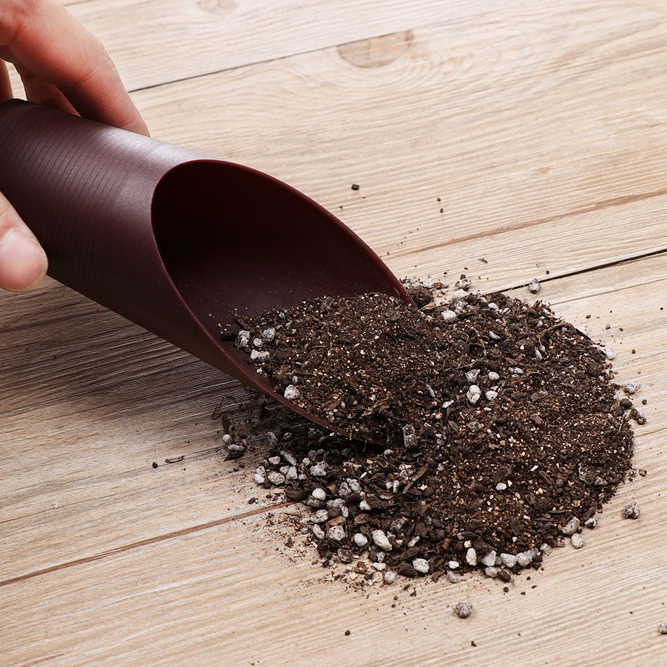 1PC Kunststoff Boden Schaufel  – Plant Parent Tools Bewertung und Preis